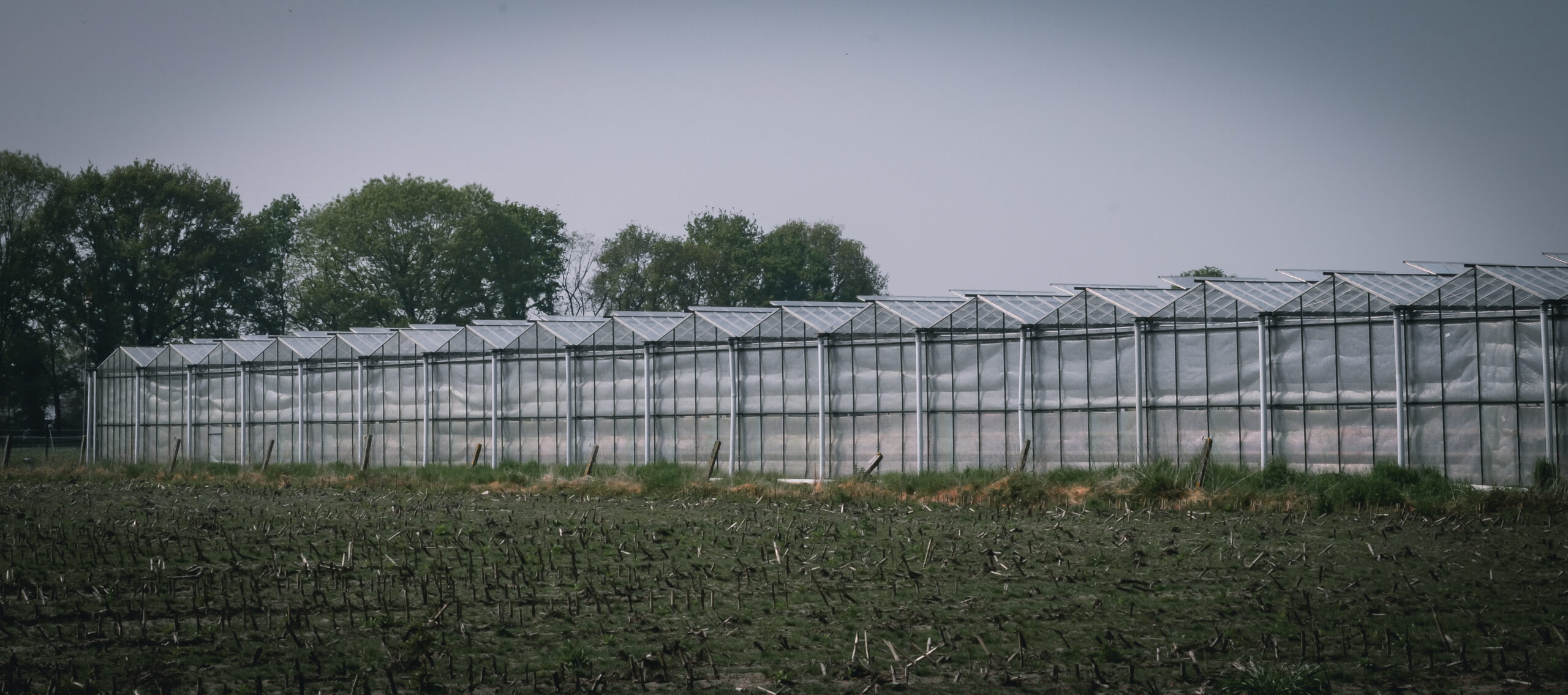Fotoreportage: Groei uit de grond