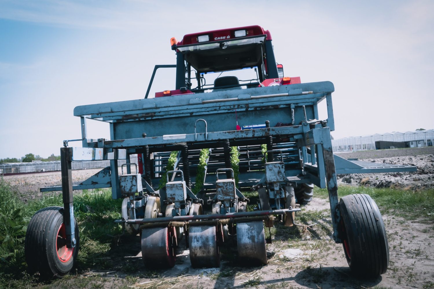 farm life-1458